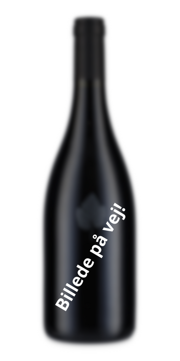 Sparkling-Blanc Alkoholfri vin, Pfalz